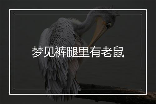 梦见裤腿里有老鼠