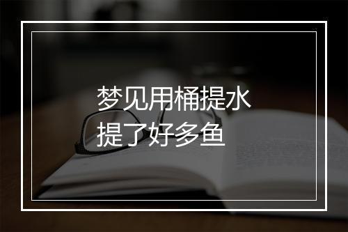 梦见用桶提水提了好多鱼