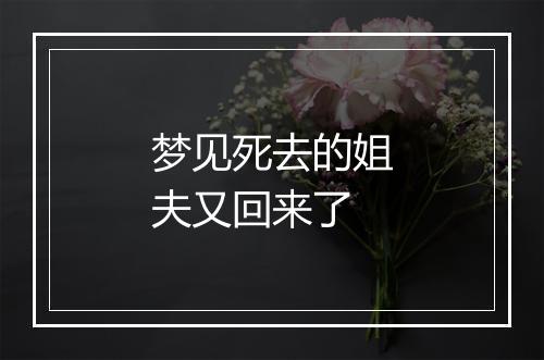 梦见死去的姐夫又回来了