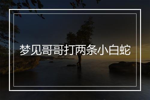 梦见哥哥打两条小白蛇