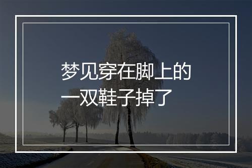 梦见穿在脚上的一双鞋子掉了