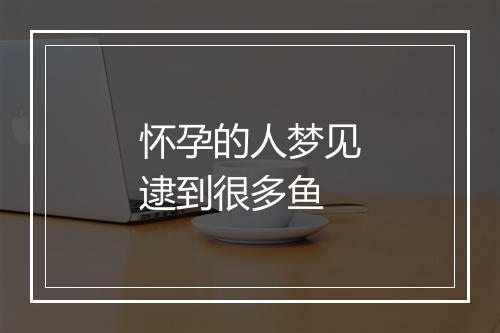 怀孕的人梦见逮到很多鱼