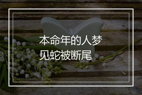 本命年的人梦见蛇被断尾