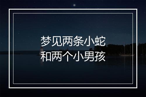 梦见两条小蛇和两个小男孩