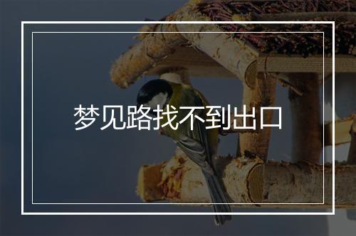 梦见路找不到出口