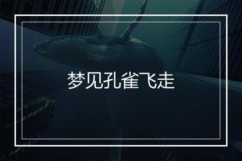 梦见孔雀飞走