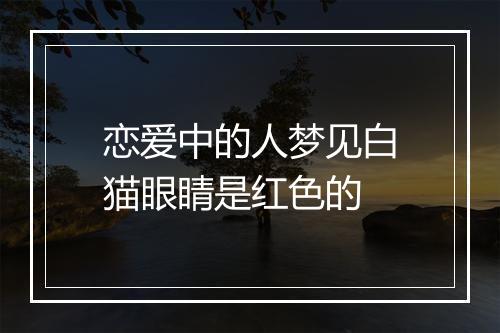 恋爱中的人梦见白猫眼睛是红色的