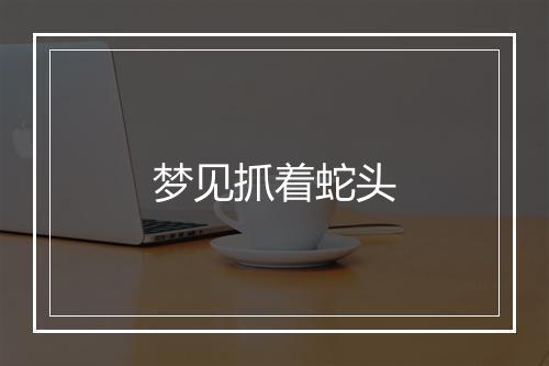 梦见抓着蛇头