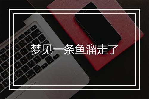 梦见一条鱼溜走了