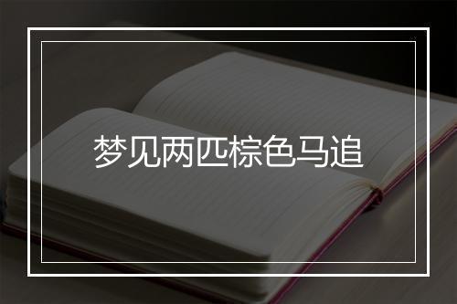 梦见两匹棕色马追