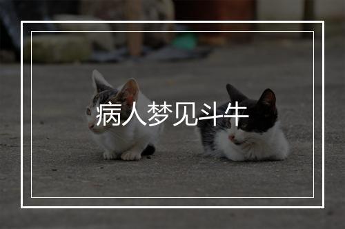 病人梦见斗牛