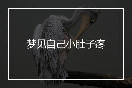 梦见自己小肚子疼