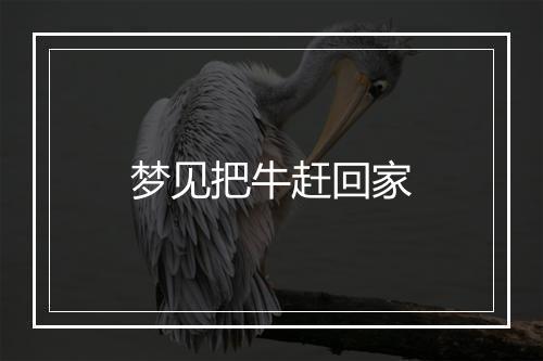 梦见把牛赶回家