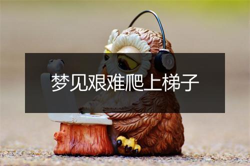 梦见艰难爬上梯子