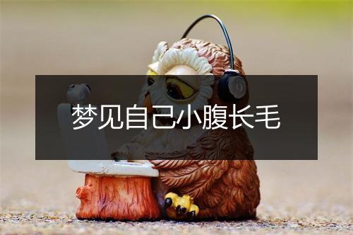 梦见自己小腹长毛