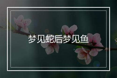 梦见蛇后梦见鱼