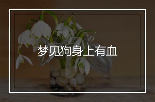 梦见狗身上有血