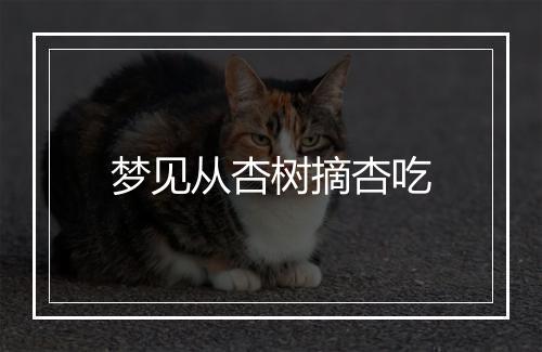 梦见从杏树摘杏吃