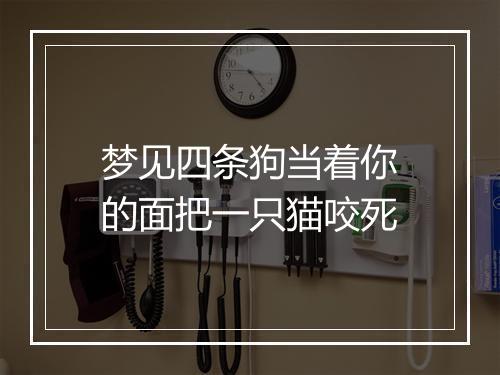 梦见四条狗当着你的面把一只猫咬死