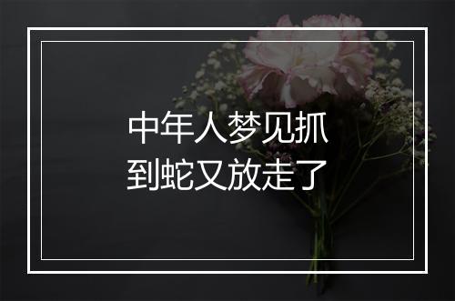 中年人梦见抓到蛇又放走了