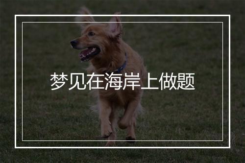 梦见在海岸上做题