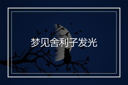 梦见舍利子发光