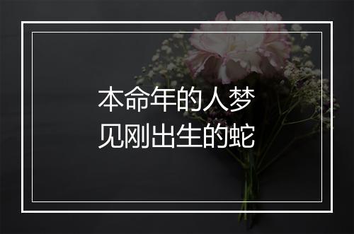 本命年的人梦见刚出生的蛇