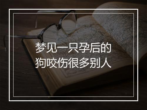 梦见一只孕后的狗咬伤很多别人