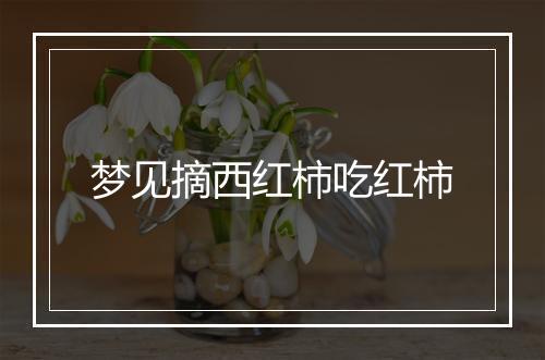 梦见摘西红柿吃红柿