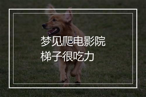 梦见爬电影院梯子很吃力