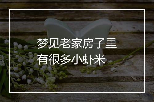 梦见老家房子里有很多小虾米