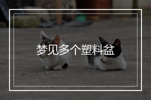 梦见多个塑料盆