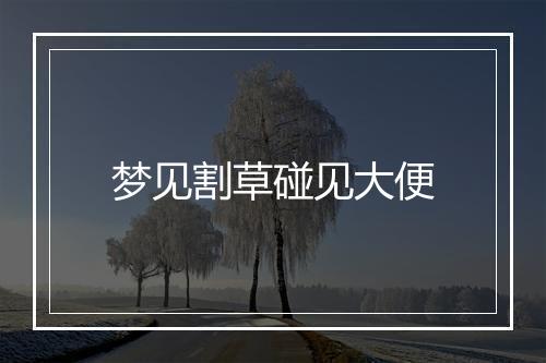 梦见割草碰见大便