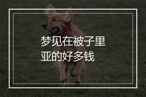 梦见在被子里亚的好多钱