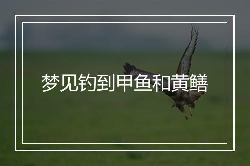 梦见钓到甲鱼和黄鳝