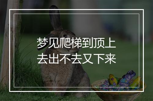 梦见爬梯到顶上去出不去又下来