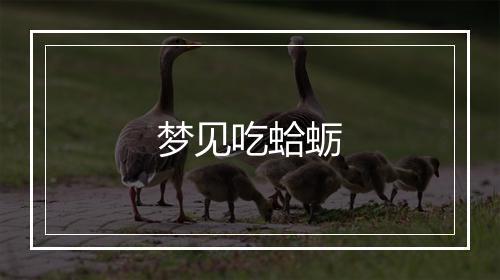 梦见吃蛤蛎