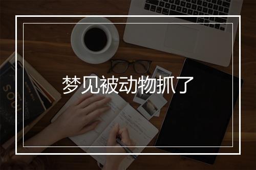 梦见被动物抓了