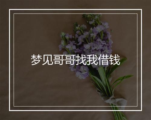 梦见哥哥找我借钱