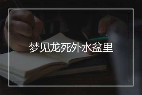 梦见龙死外水盆里