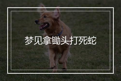 梦见拿锄头打死蛇