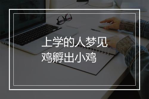 上学的人梦见鸡孵出小鸡