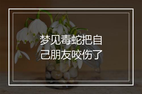 梦见毒蛇把自己朋友咬伤了