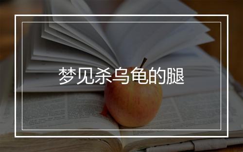 梦见杀乌龟的腿