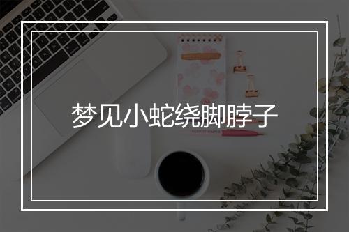 梦见小蛇绕脚脖子