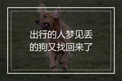 出行的人梦见丢的狗又找回来了