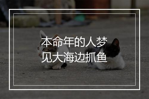 本命年的人梦见大海边抓鱼