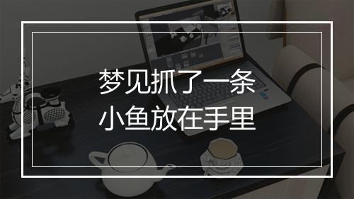 梦见抓了一条小鱼放在手里