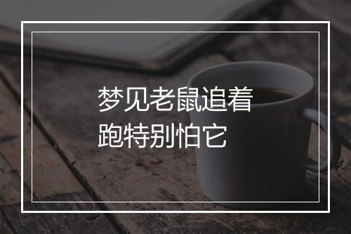 梦见老鼠追着跑特别怕它