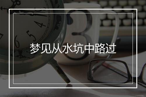 梦见从水坑中路过